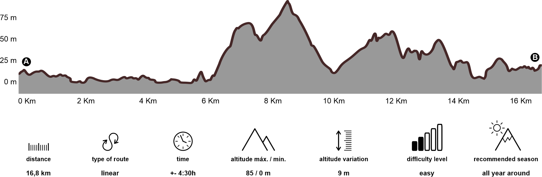 Altimetria